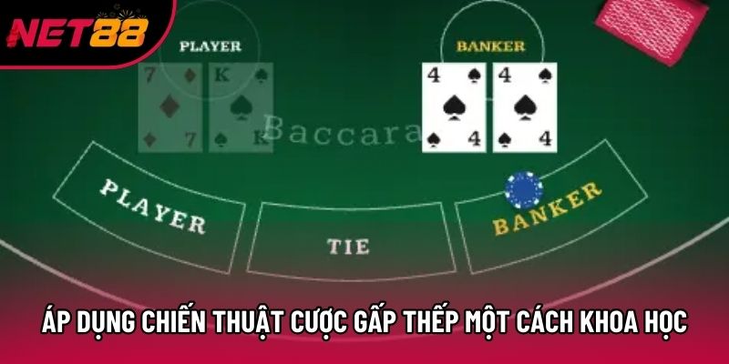 Áp dụng chiến thuật cược gấp thếp một cách khoa học Áp dụng chiến thuật cược gấp thếp một cách khoa học